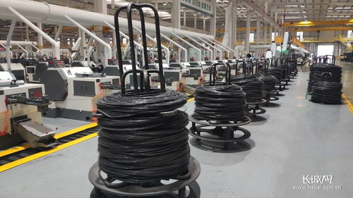 河北加快推進(jìn)縣域特色產(chǎn)業(yè)提質(zhì)升級(jí) 以螺栓產(chǎn)業(yè)為例，提升四個(gè)能力優(yōu)化產(chǎn)業(yè)生態(tài)